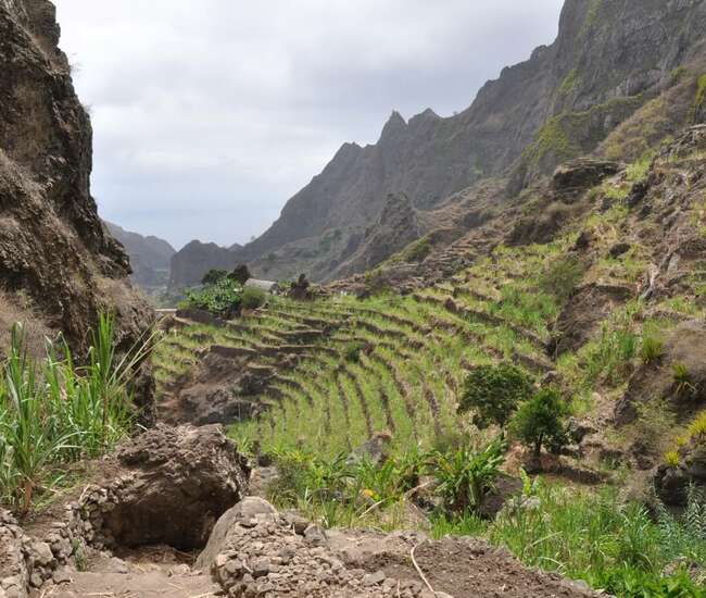 Kapverden Rundreise : Tageswanderungen Santo Antão + Santiago: Figueiral de Paul
