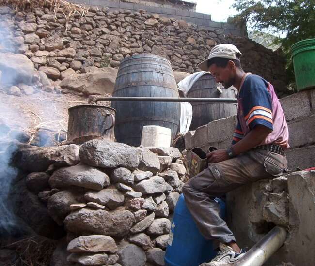 Trekking kapverdische Insel Santiago - von Cidade Velha nach Tarrafal: Groguebrenner