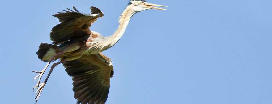 2 Trekkingtouren Santo Antao 2015