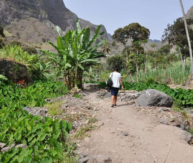 Kapverden Rundreise : Tageswanderungen Santo Antão + Santiago: Weg durch das Flusstal in Paul