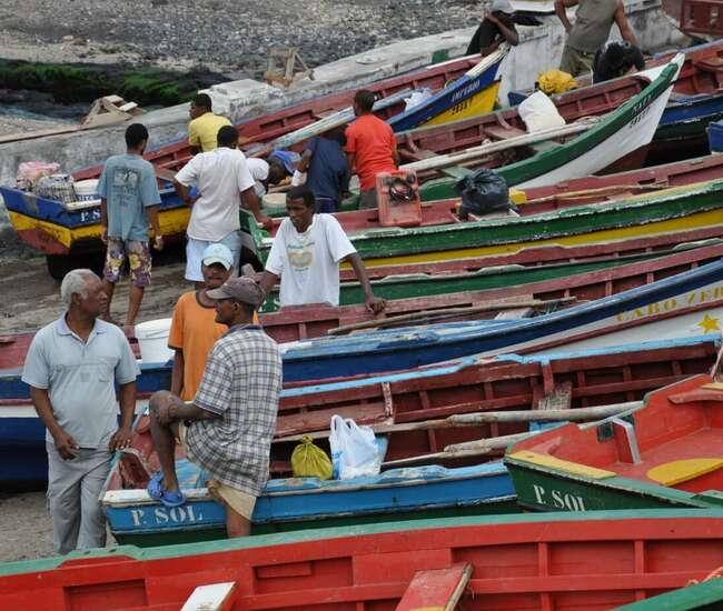 Fischerbote Im hAfen von Ponta do Sol "Boca de Pistola"