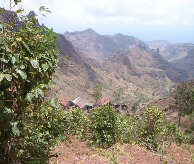 Trekking kapverdische Insel Santiago - von Cidade Velha nach Tarrafal: Kaffee in der Ribeira Principal