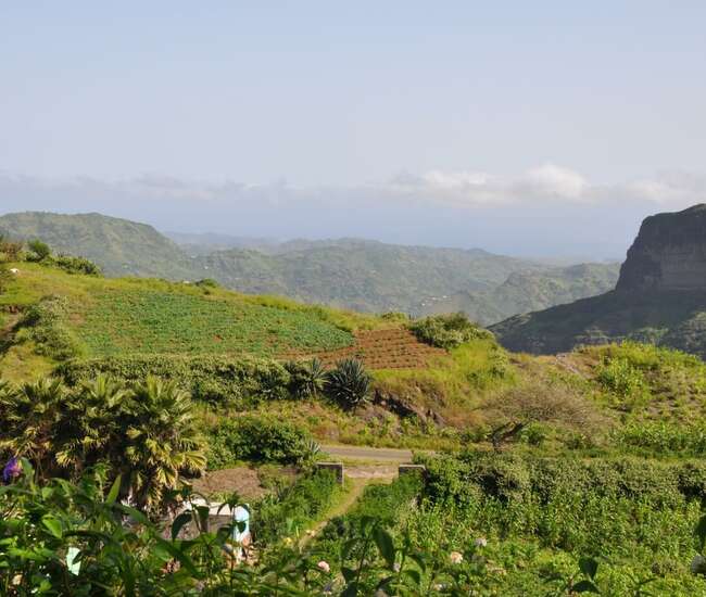 Rundblick von Rui Vaz