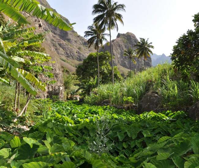 Kapverden - Trekking  Insel Santo Antão im Nordosten:  Ribeira do Paúl