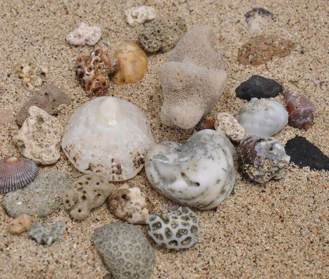 Kapverdische Insel Maio Strandschätze
