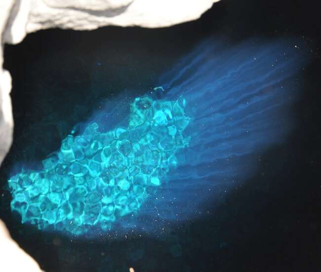 Olho Azul - das Blaue Auge