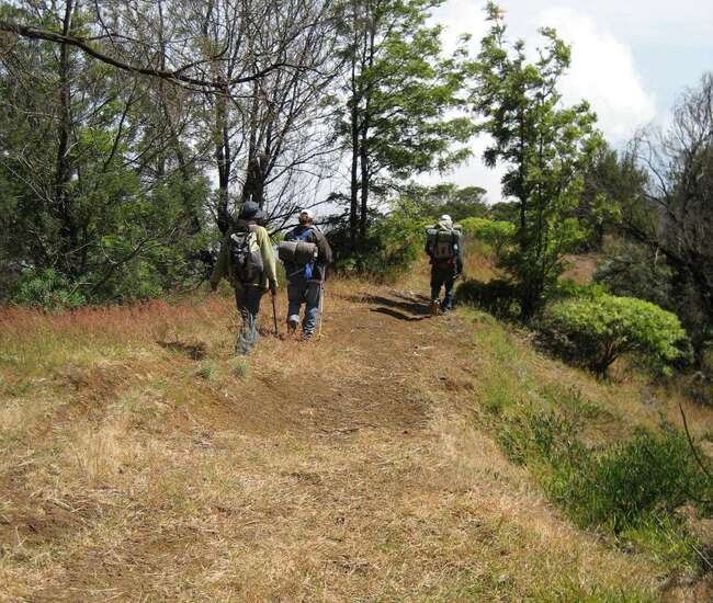 Gratwanderung auf der Bordeira - auf der Bordeira