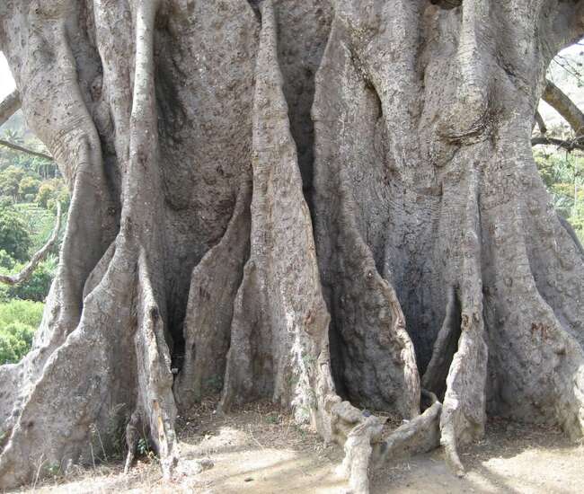 Kapverdische Insel Santiago
