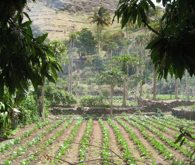 Kapverdische Insel Santiago