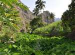 Kapverden - Trekking  Insel Santo Antão im Nordosten:  Ribeira do Paúl