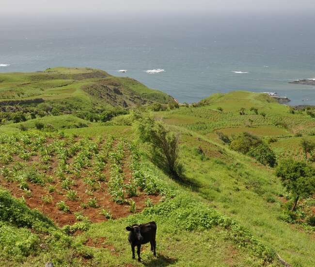 Kapverden Vukaninsel Fogo Auf dem Weg nach Mosteiros