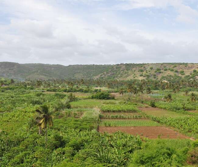 Kapverdische Insel Santiago : Highlights : Blick in die Ribeira Secca bei Achada Fazenda