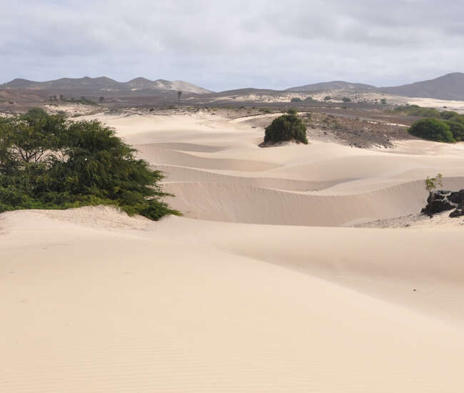 Düneninsel Boavista