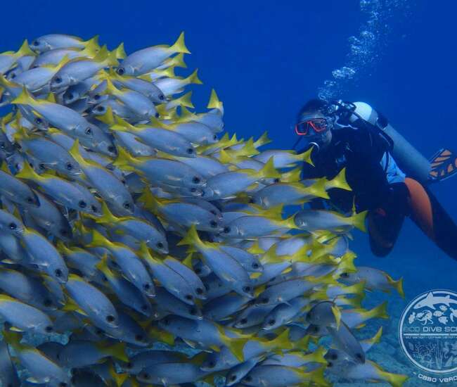 Kapverdische Insel Sal Wasserport für Einsteiger