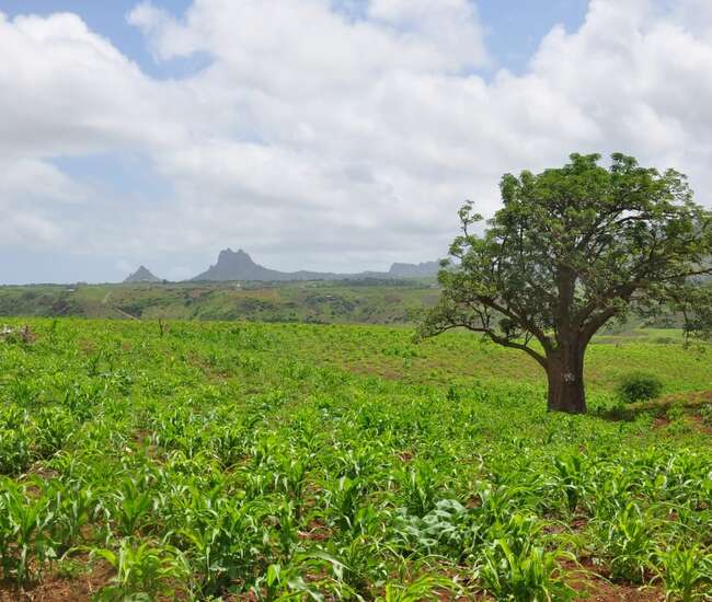 Kapverdische Hauptinsel Santiago Auf der Hochebene