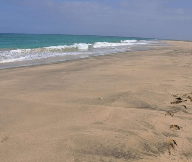 Kapverdische Insel Maio - No Streß - Für Strandläufer